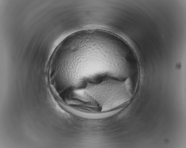 X0000114211102200910231400