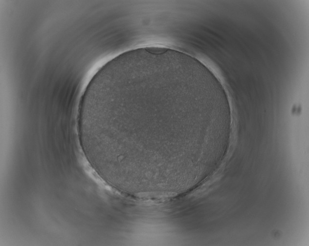 X0000114211104200910231400