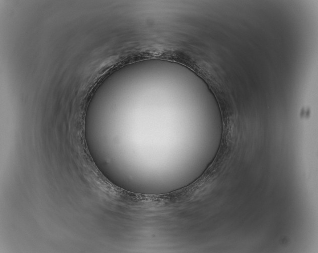 X0000114211105200910231359