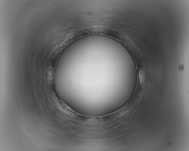 X0000114211107200910231359