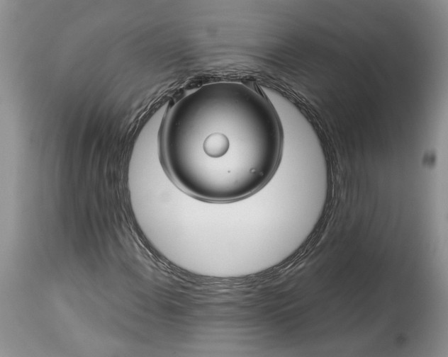 X0000114211108200910231359
