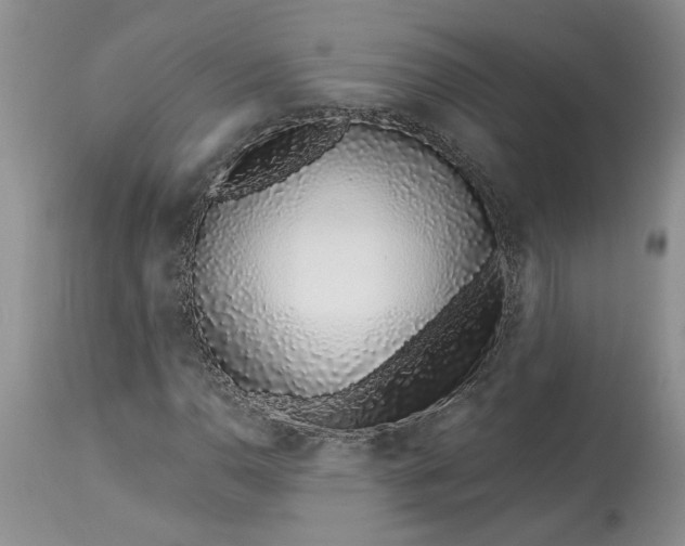 X0000114211110200910231359