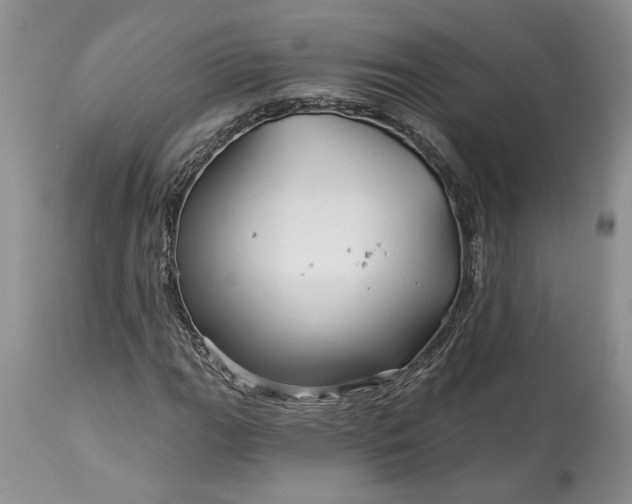 X0000114211111200910231400
