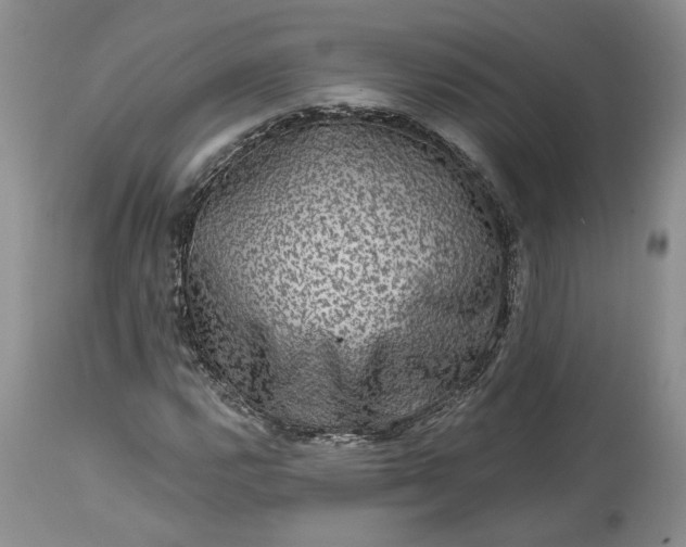 X0000114211112200910231400