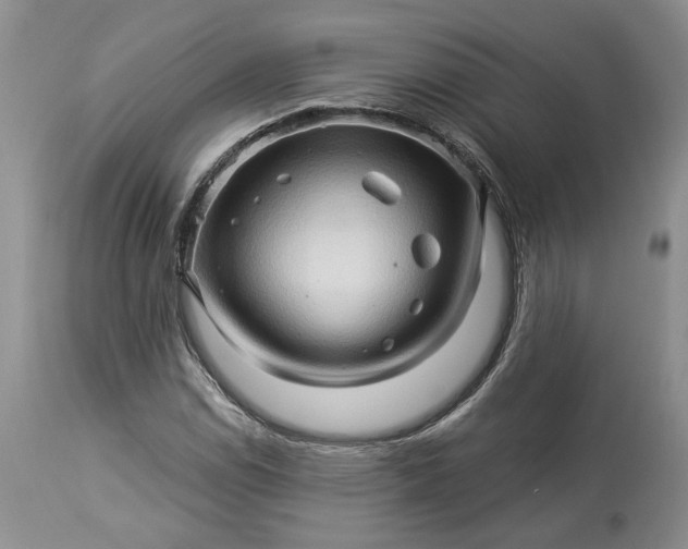 X0000114211114200910231400