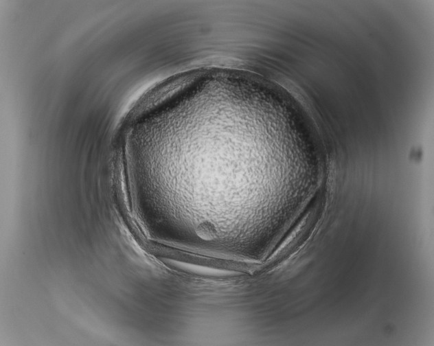 X0000114211115200910231400