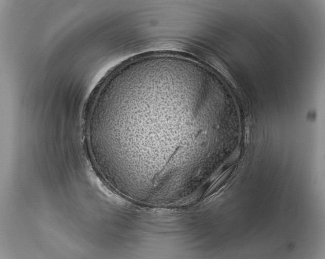 X0000114211116200910231400