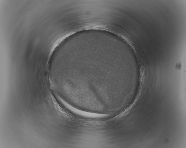 X0000114211117200910231400