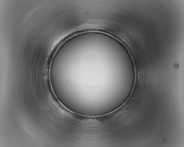 X0000114211119200910231400