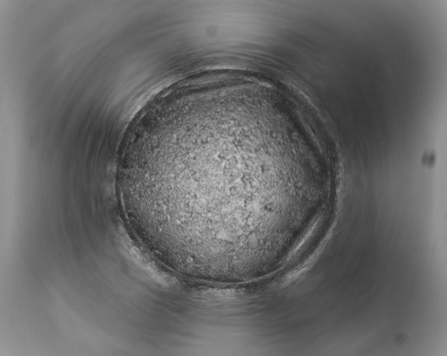 X0000114211121200910231400