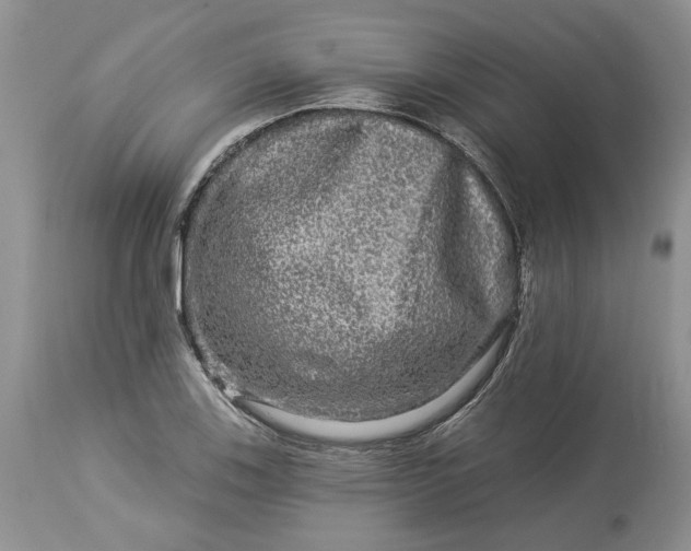 X0000114211123200910231400