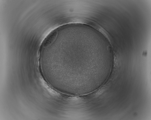 X0000114211124200910231400