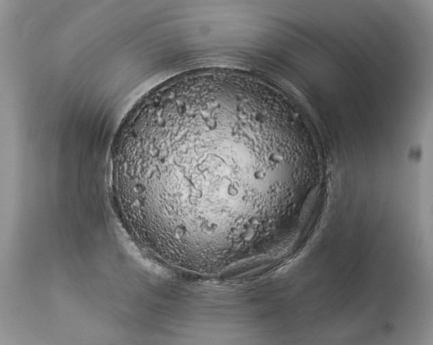 X0000114211125200910231400