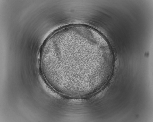 X0000114211126200910231400