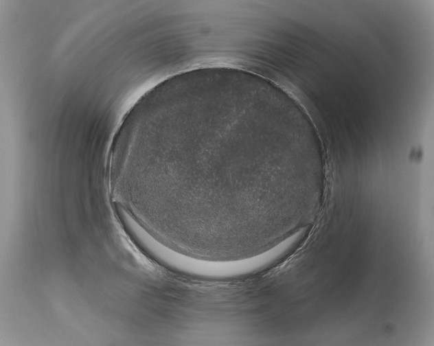 X0000114211127200910231400
