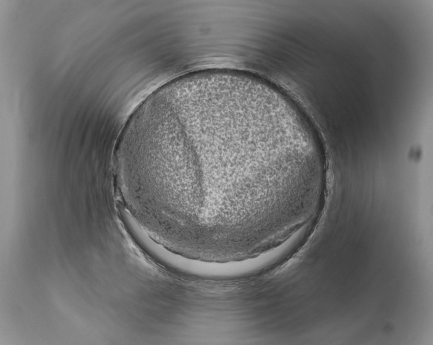 X0000114211129200910231400