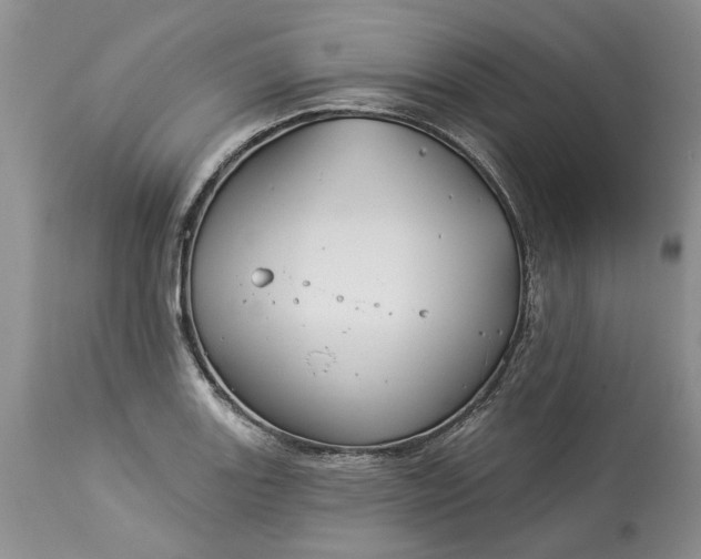 X0000114211131200910231400