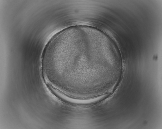 X0000114211133200910231400