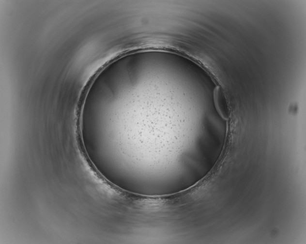 X0000114211134200910231400