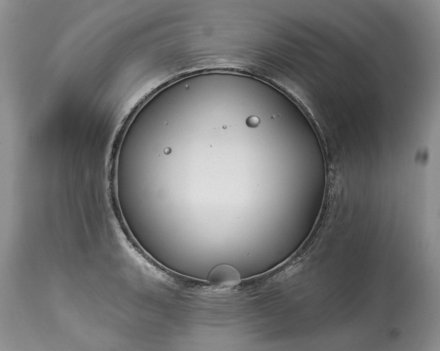 X0000114211135200910231400