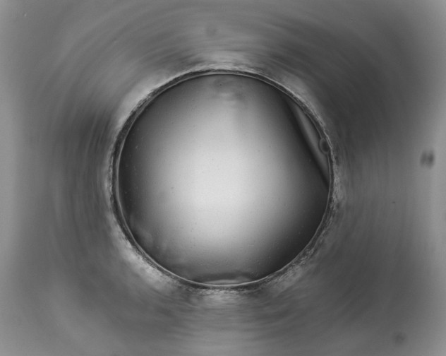 X0000114211136200910231400