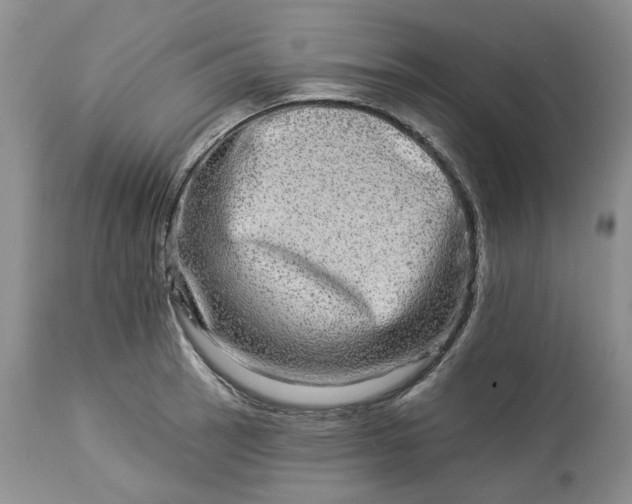 X0000114211137200910231400