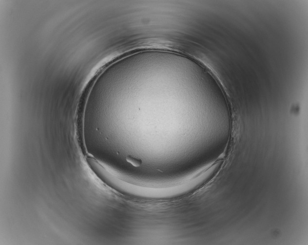 X0000114211139200910231400
