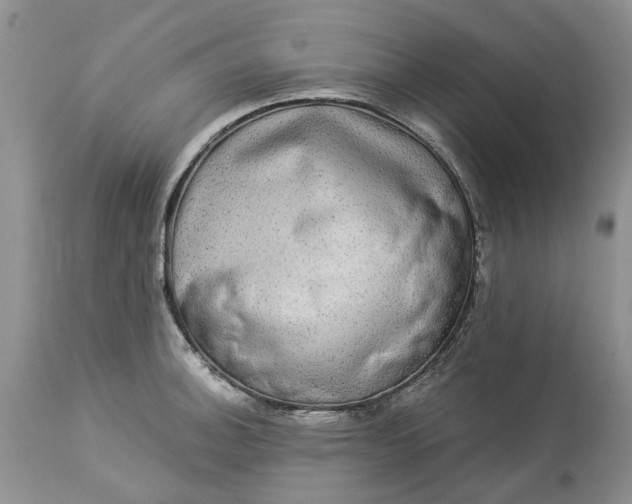 X0000114211140200910231400