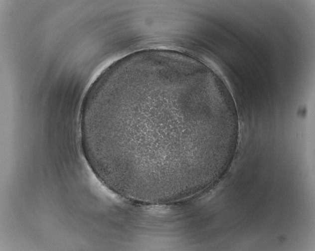 X0000114211141200910231400