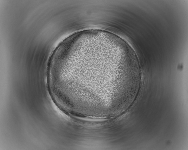 X0000114211143200910231400