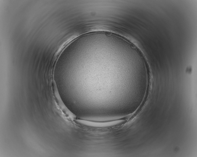 X0000114211145200910231400