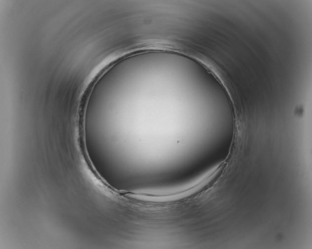 X0000114211147200910231400