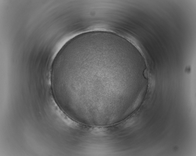 X0000114211148200910231400