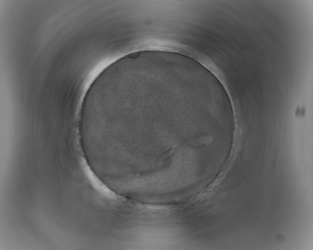 X0000114211152200910231400