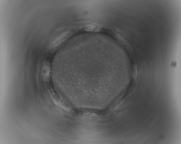 X0000114211154200910231359