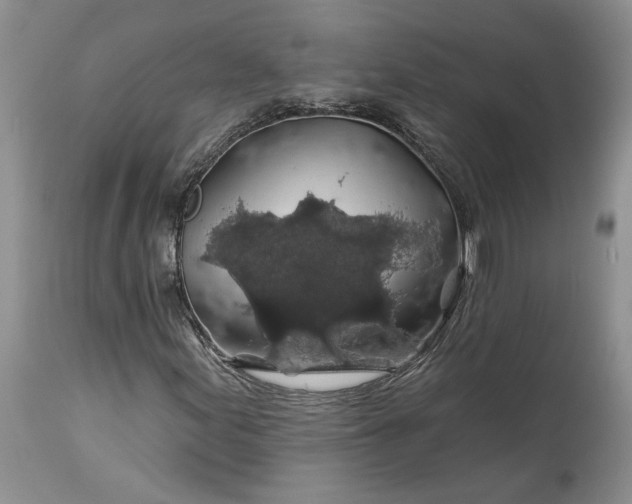 X0000114211155200910231359