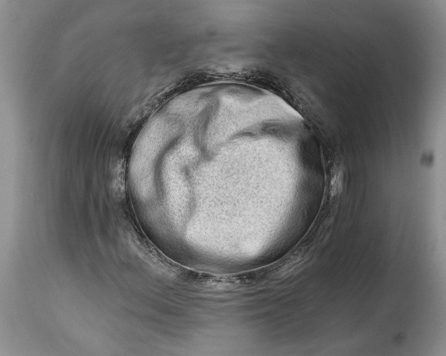 X0000114211156200910231359