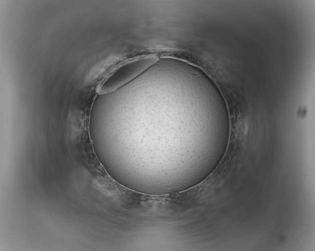 X0000114211157200910231359