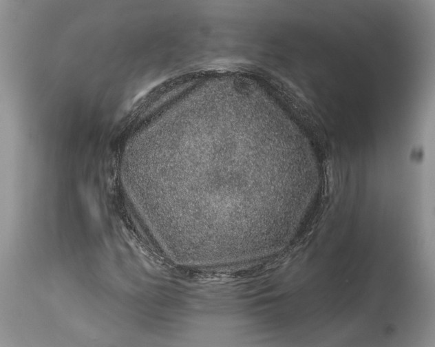 X0000114211158200910231359