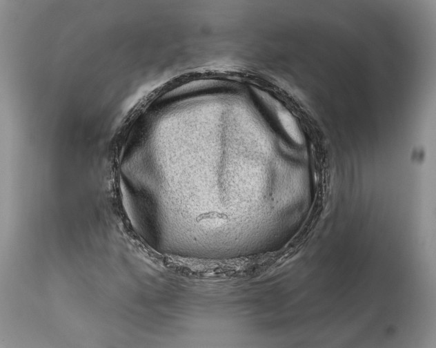 X0000114211160200910231359