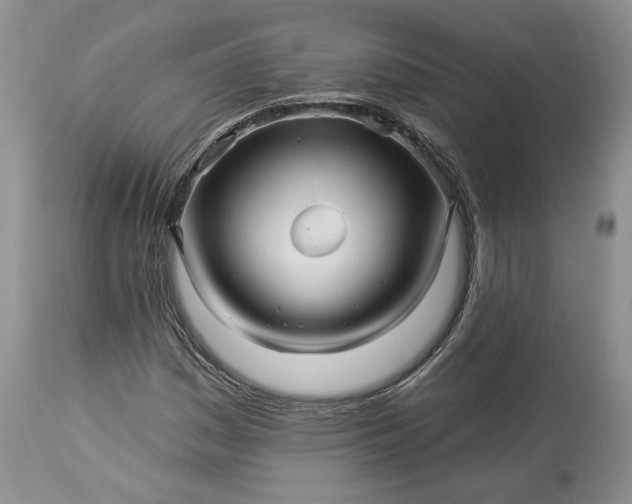 X0000114211161200910231359
