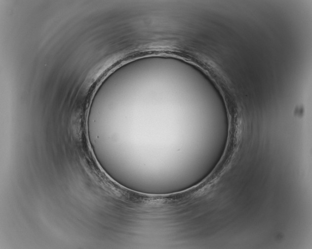 X0000114211162200910231359