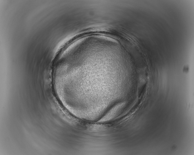 X0000114211164200910231359