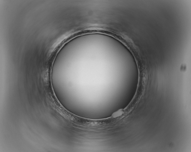 X0000114211167200910231359