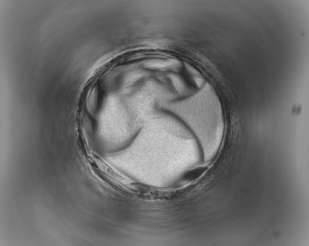 X0000114211168200910231359