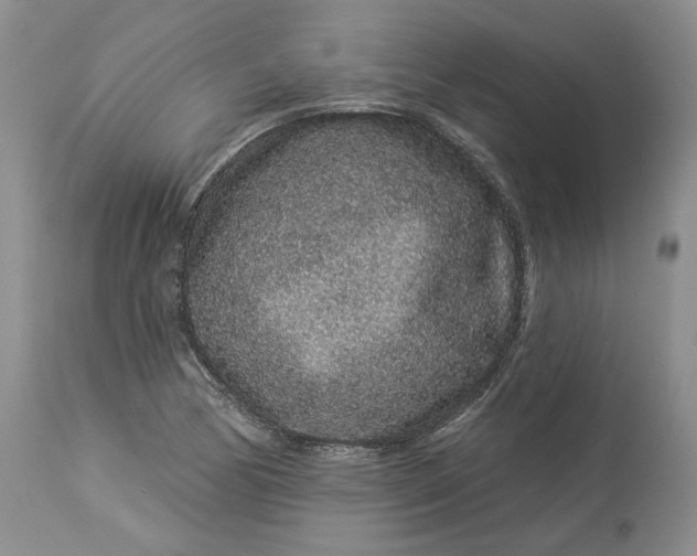 X0000114211170200910231359