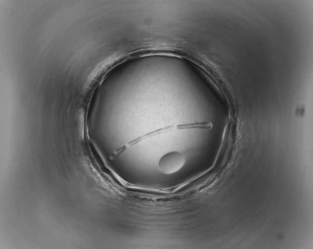 X0000114211171200910231359