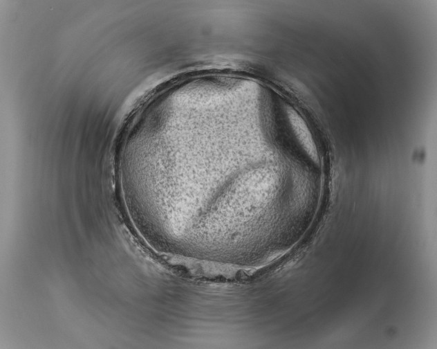 X0000114211172200910231359