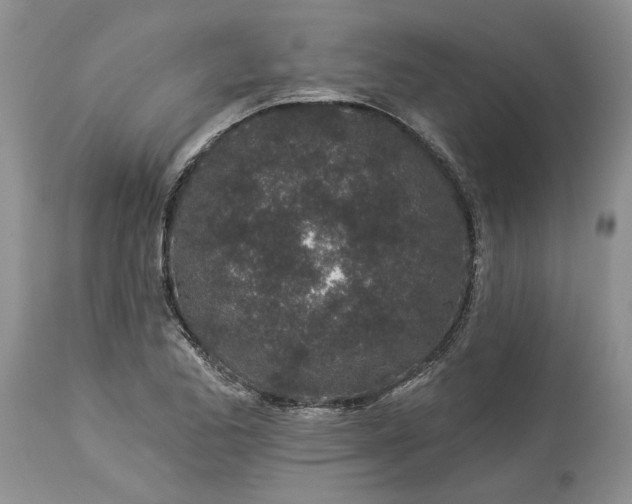 X0000114211173200910231359
