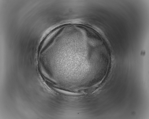 X0000114211176200910231359
